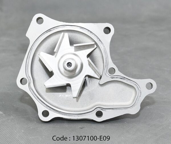WATER  PUMPASSY